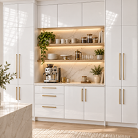 Bright White Slab Sample Door (High Gloss)
