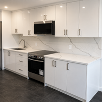 Calacatta Classic Quartz Countertop (Calacatta Forest)