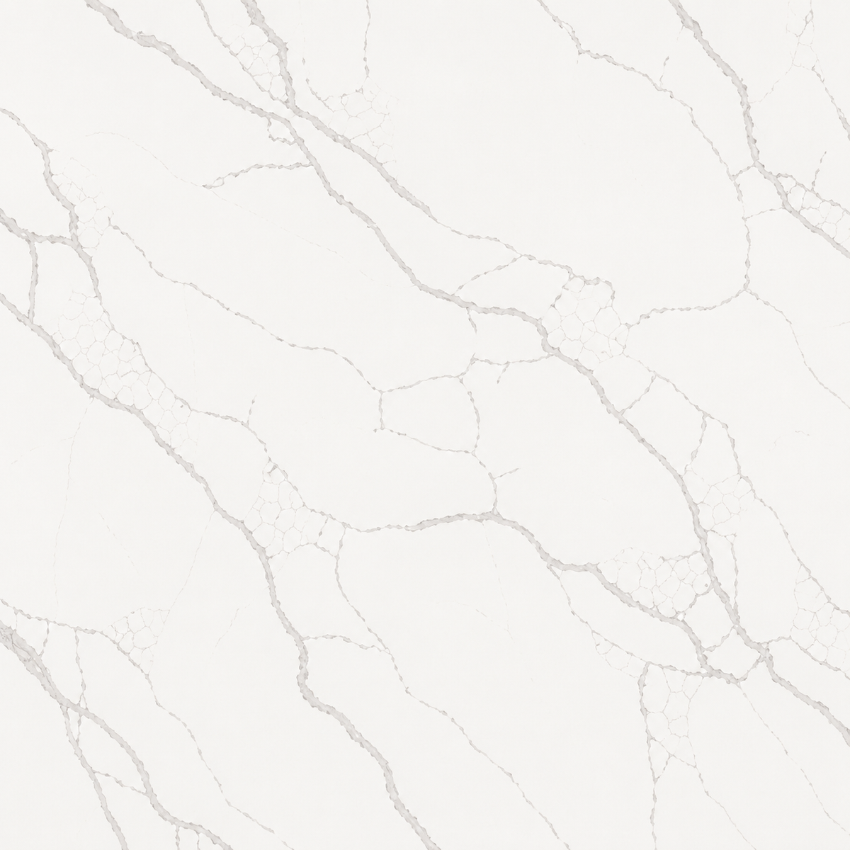 Calacatta Classic Quartz Countertop (Calacatta Forest)