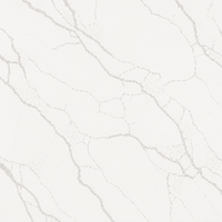 Calacatta Classic Quartz Countertop (Calacatta Forest)