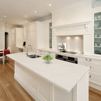 Calacatta Gold Classic Quartz Countertop (Calacatta Eltham Gold)