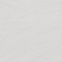 Calacatta Gold Classic Quartz Countertop (Calacatta Eltham Gold)