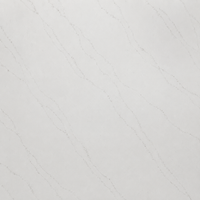 Calacatta Ultra White Quartz Countertop (Calacatta Lumina)