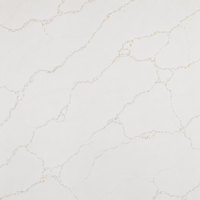 Calacatta Borghini Quartz Countertop (Calacatta Rocky Gold)