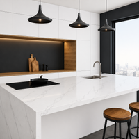 Calacatta Venice Quartz (Calacatta Rocky)