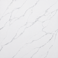 Calacatta Venice Quartz (Calacatta Rocky)