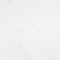 Calacatta Gold Quartz Countertop (Calacatta Storm)