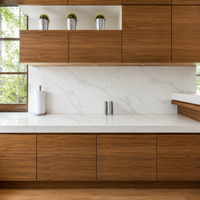 Calacatta Gold Quartz Countertop (Calacatta Storm)