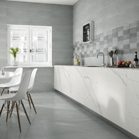 Calacatta Gold Quartz Countertop (Calacatta Storm)