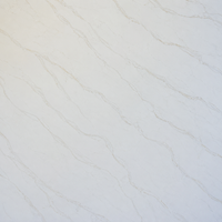 Carrara White Quartz Countertop (Calacatta Lucca)