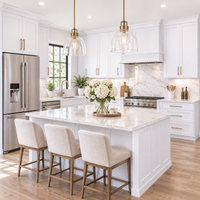 Classic White Shaker Sample Door (Builder Grade)
