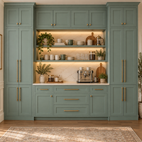 Jade Green Shaker Sample Door