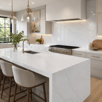 Pure White Quartz Countertop (Calacatta Luxe)