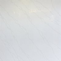 Pure White Quartz Countertop (Calacatta Luxe)