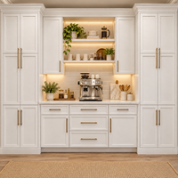 Slim Soft White Shaker Sample Door