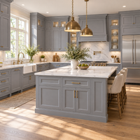 Soft Gray Double Shaker Sample Door