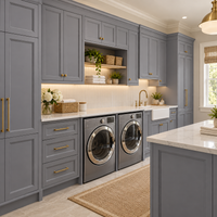 Soft Gray Double Shaker Sample Door
