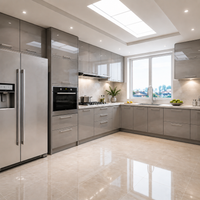 High Gloss Gray 30